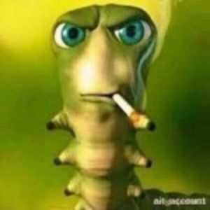 Meet your Posher, Kendall